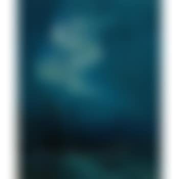 The northern lights (preview)