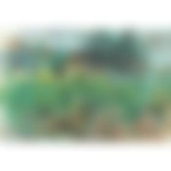 Maize Field Anticoli (preview)