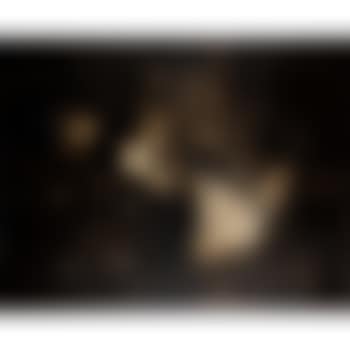 Phaos B (preview)