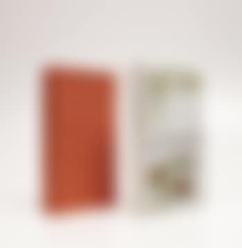 The Large Glass and Related Works, Vol. I, by Arturo Schwarz (preview)