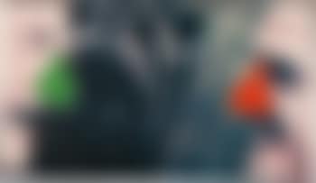 Two Noses: Red and Green (preview)