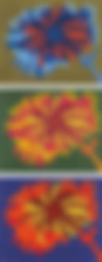 Flower A; B; and C (preview)