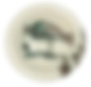 Oiseau sur la branche (preview)