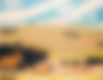 Chevaux dans la plaine (preview)