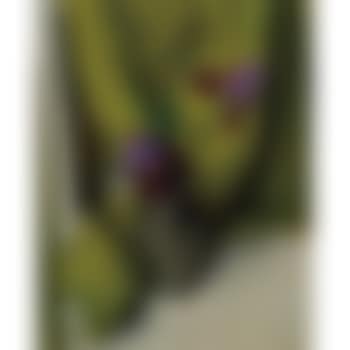Irises (preview)