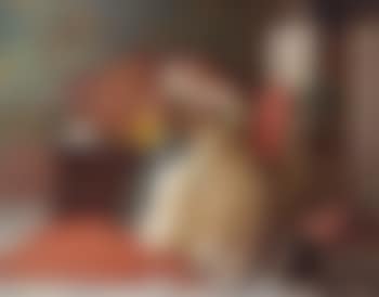 The picture book (preview)