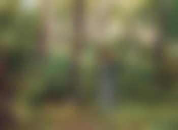A peasant working in the woods (preview)