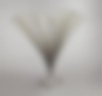 Spray (preview)