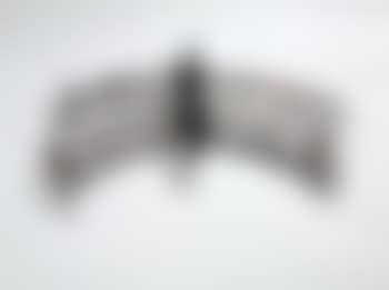 Untitled (preview)