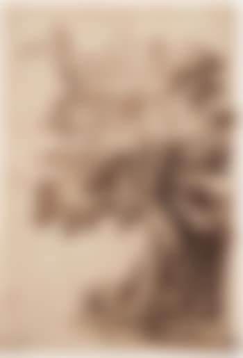 Etude d'arbre (preview)