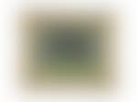 Deep inside of forest, Nikkokotoku swamp (preview)