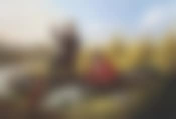 Duck Shooting, Some of the Right Sort (preview)