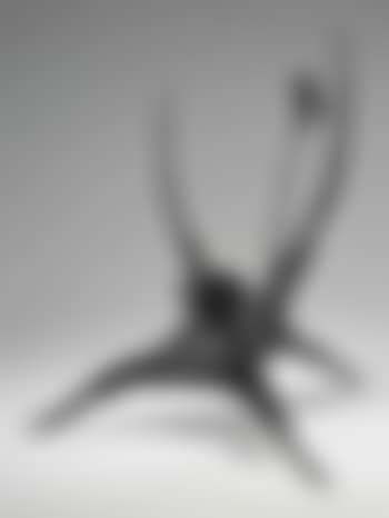 The Flower (preview)