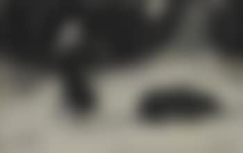 Through the Storm 'He silently glided along in front of her while the woods sheltered them.' (preview)