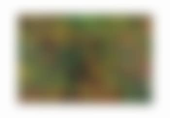 Salad (preview)