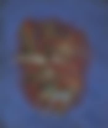 Untitled (preview)