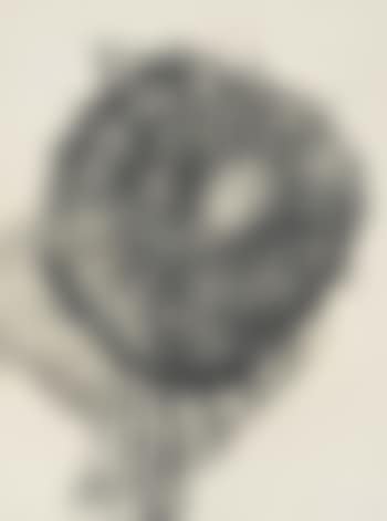 Sunflower head, 1959 (preview)