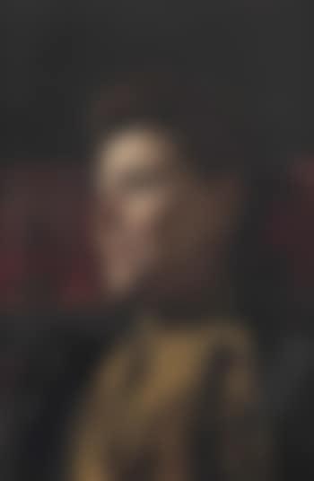Portrait of Marie Wandscheer (1856-1936) (preview)