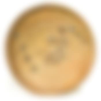 Plate (preview)