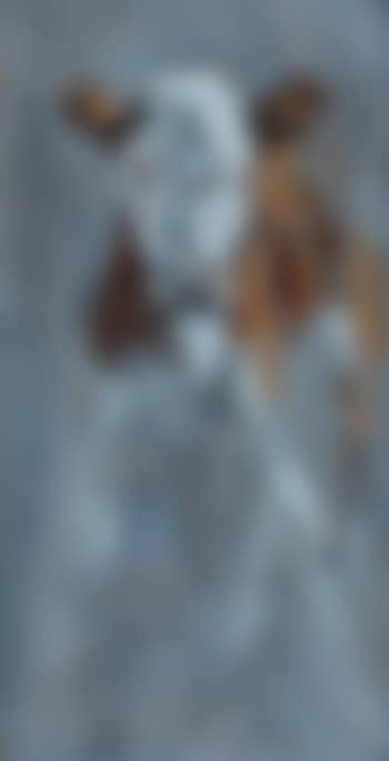 Calf (preview)