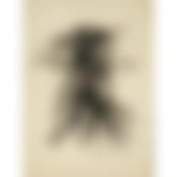 Composition (preview)