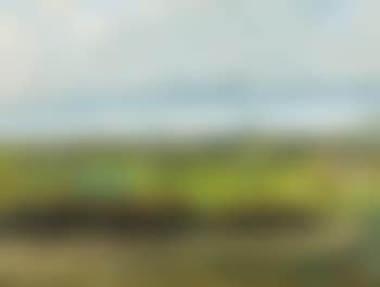 Landscape with Wall and Orchard (preview)