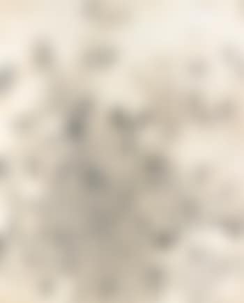 With Winds (preview)