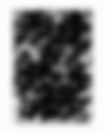 Untitled (S112) (preview)