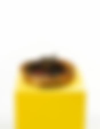 Mortar & Pestle (preview)