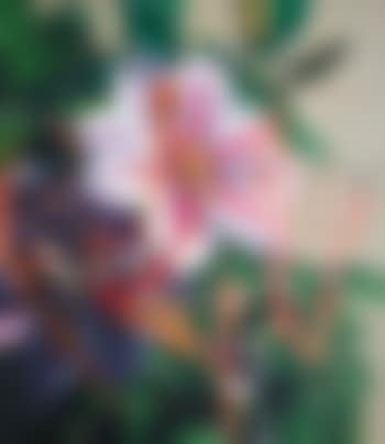 Untitled (preview)