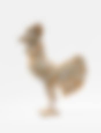 Cock (preview)