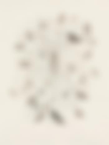 Pelle Di Foglie 3 (preview)