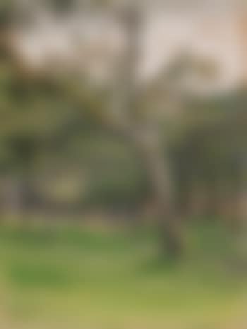 Ferme Normande Sous Les Arbres (preview)