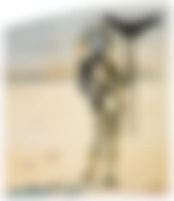 Crisalida (Figure aux Ramures) (preview)
