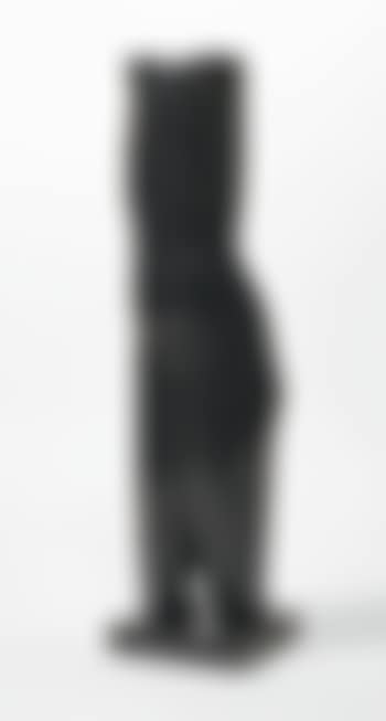 Torse De Femme (preview)