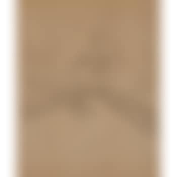 Linger, longer, loo (preview)