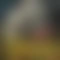 Spring (preview)