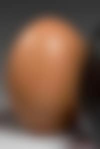 Oeuf (preview)
