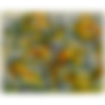 Study for a cover of  View (preview)