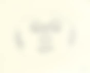 Volto (preview)