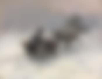 Sleight ride (preview)