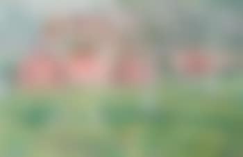 Bloeiende boomgaard (preview)