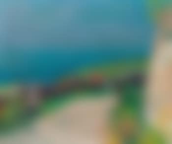 Chemin dans les vignes (preview)