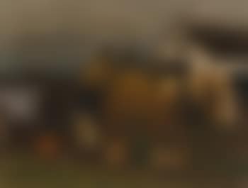 Paard en kar aan de hoeve (preview)