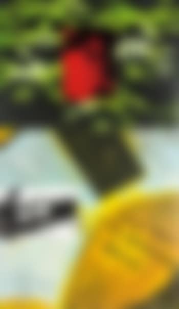Land of gold (preview)