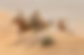 Running for Cover (Apaches) (preview)