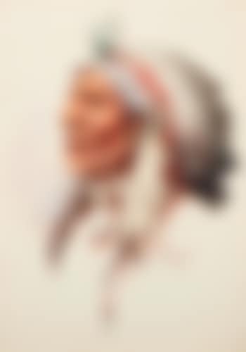 Cheyenne Brave (preview)