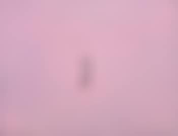 Concetto spaziale (preview)