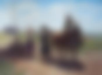Un alto en el camino (preview)