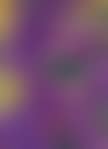 Violettfeldwelten (preview)